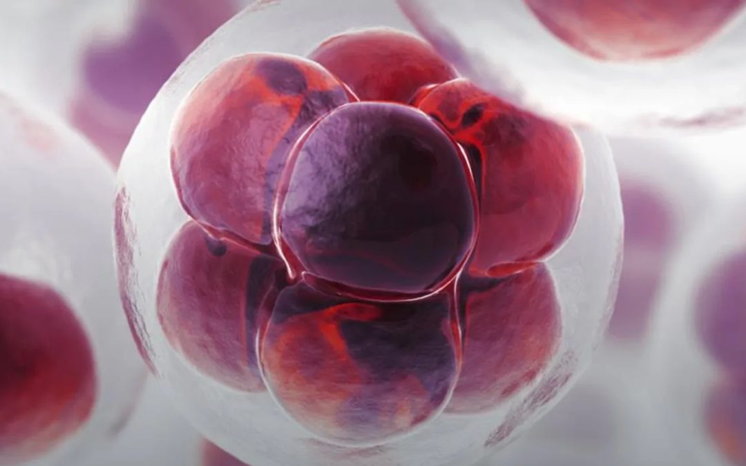 How Burnout and Stress Torch your Immunity